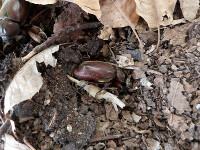 IMGP0567