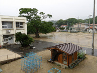 IMGP0565