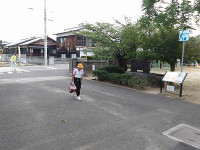 IMGP0946