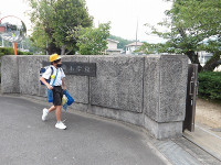 IMGP0947