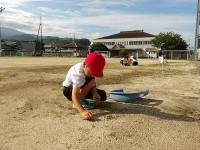 IMGP1198