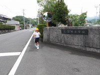 IMGP1323