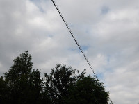 IMGP1338