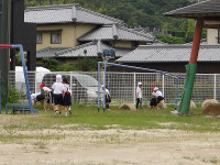 IMGP1410