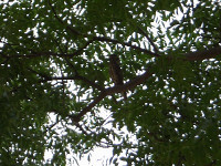 IMGP1565