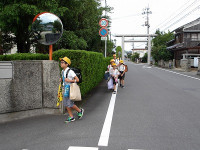 IMGP1575
