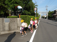 IMGP1762