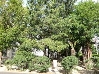 IMGP1892
