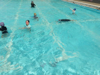 IMGP2012