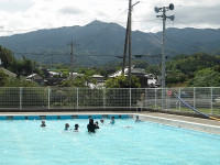 IMGP2029
