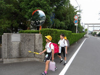 IMGP2060