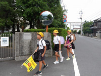 IMGP2061
