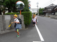 IMGP2063