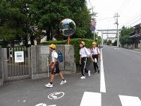 IMGP2066