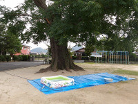 IMGP2070