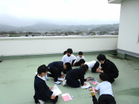 ３社 (7)