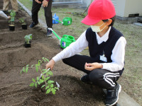 ひまわり生活 (17)