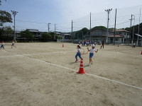 IMG_2734