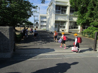 IMG_0954