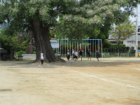 IMG_1074