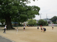 IMG_4052