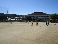 IMG_4794