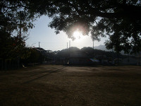 IMG_5524