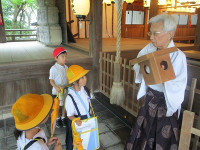 IMG_8567