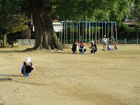 IMG_7597
