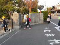 IMGP4418