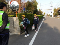 IMGP4525