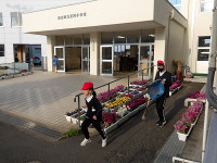 IMGP4585