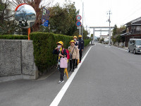 IMGP4638