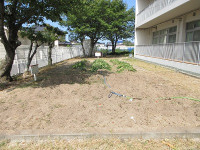 IMG_2563