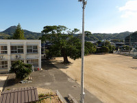 IMGP2482