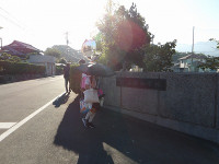 IMGP2454