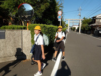 IMGP2464