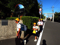 IMGP2467コピー