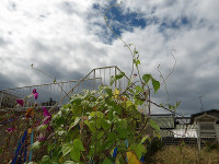 IMGP2576
