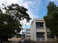 IMGP2550