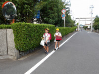 IMGP2540