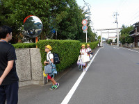 IMGP2546
