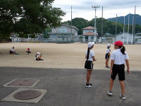 IMGP2553
