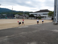 IMGP2554