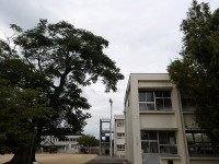 IMGP2604