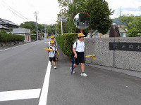 IMGP2608
