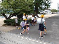 IMGP2616