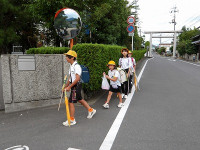 IMGP2617