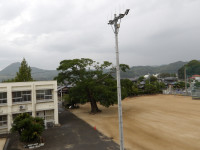 IMGP2648