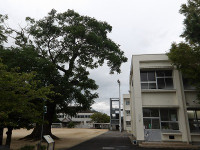 IMGP2786
